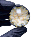 Cose - Flower Marble - Large - The Cave