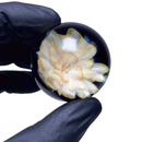 Cose - Flower Marble - Large - The Cave