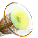 Leisure - Worked Diffy 13 Arm Double Bubbler - Slyme w/ Rasta Retti - The Cave