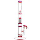 Sovereignty - 8 Arm 3 Line - FA w/ SA & Reduction - Pink Slyme x Poppy - The Cave
