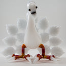 Burtoni - Albino Peacock - The Cave