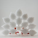 Burtoni - Albino Peacock - The Cave