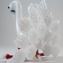 Burtoni - Albino Peacock - The Cave