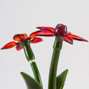 Phil Siegel - Flower Pot Concentrate Bubbler - The Cave