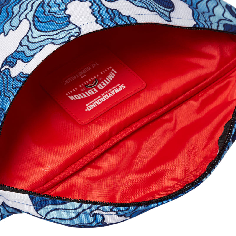 Sprayground -
