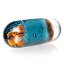 Steve H Glass - Artist Series Pillar - Charmander - Blue Stardust - The Cave