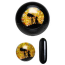 Steve H Glass - Standard Series Slurper Set - 3 Piece - Telescope Girl - Black - The Cave