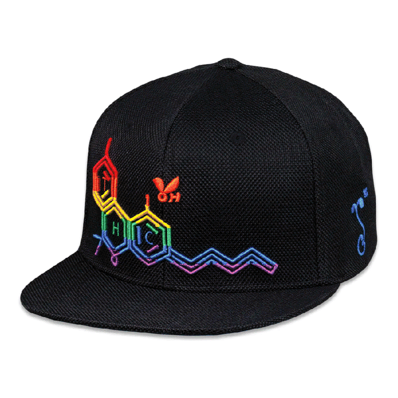 Grassroots - THC Bee Rainbow Snapback Hat - Large/XL - The Cave