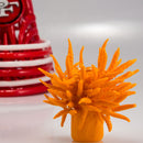 Tristan Hodges - SF 49ers Beanie - The Cave